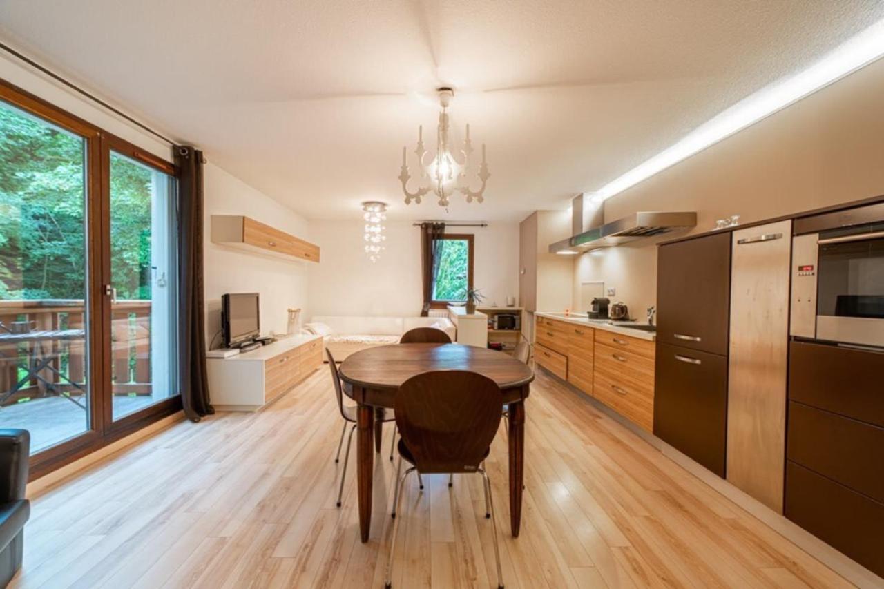 Promenade Furnished Flat Annecy Exterior foto